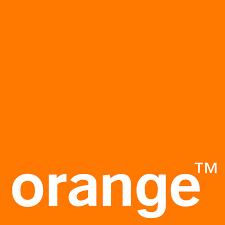 Portfolio Logo 1