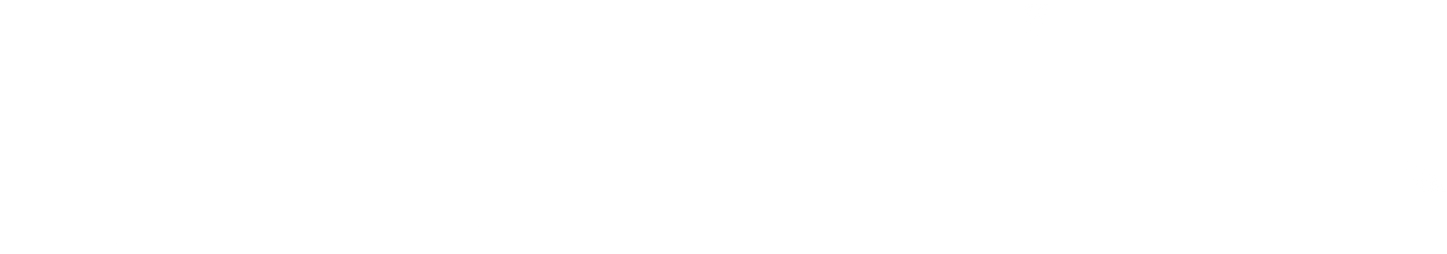 Portfolio Logo 4